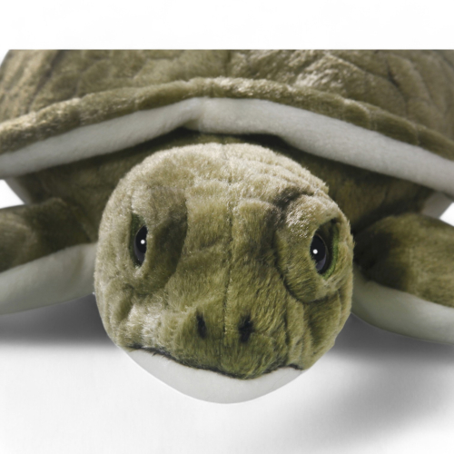 Turtle | soft toy | stuffed animal | plush toy
