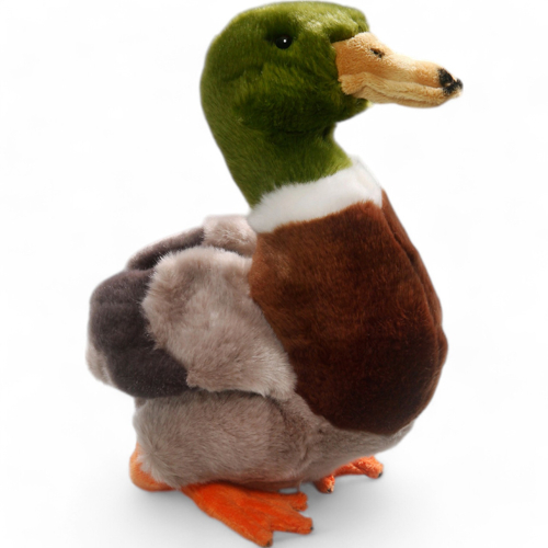 Mallard Duck | soft toy | stuffed animal | plush toy