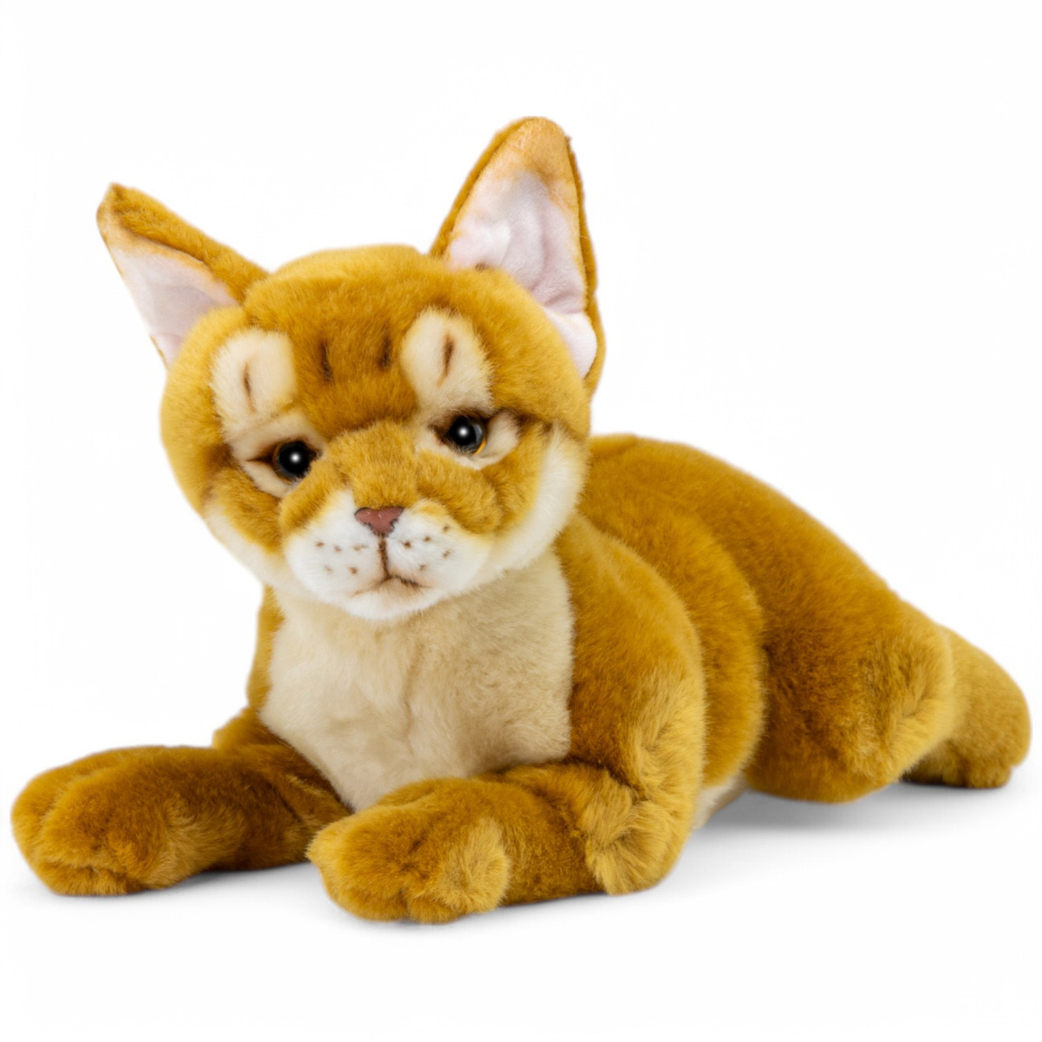 Carl Dick Abyssinian cat approx. 30 cm, plush, stuffed animal | eBay