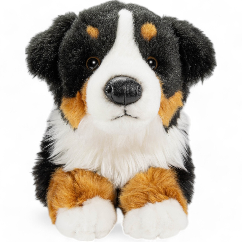 Plüschtier: Berner Sennenhund | Kuscheltier | Stofftier
