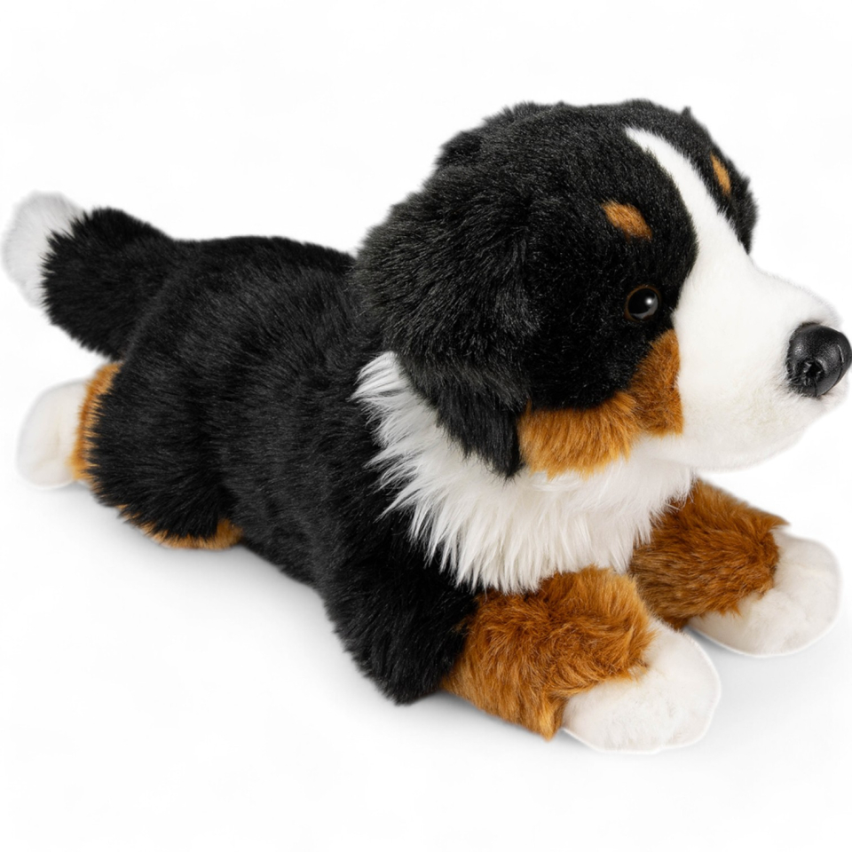 Plüschtier: Berner Sennenhund | Kuscheltier | Stofftier