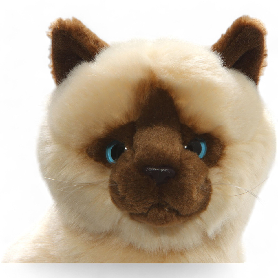 Plüschtier: Katze sitzend beige | Kuscheltier | Stofftier