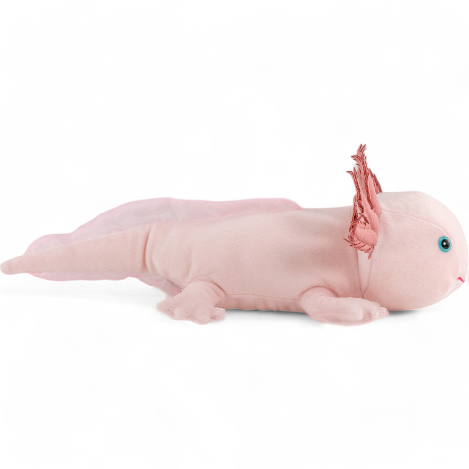 Axolotl | soft toy | stuffed animal | plush toy