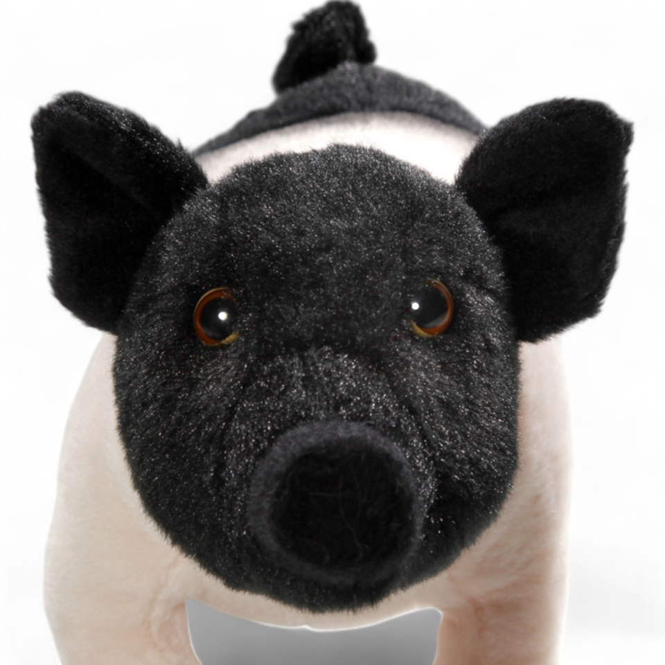 Pig | soft toy | stuffed animal | plush toy