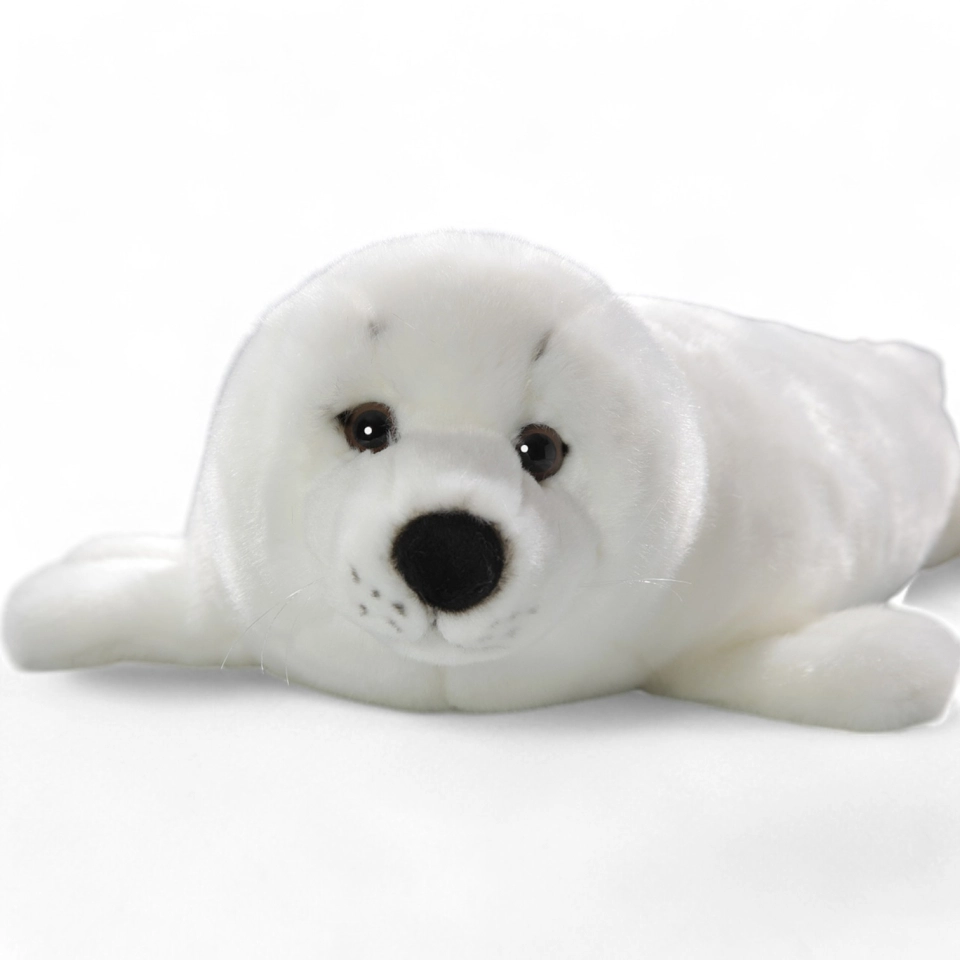 Seehund, Sattelrobbe Baby Seehund, Sattelrobbe Baby