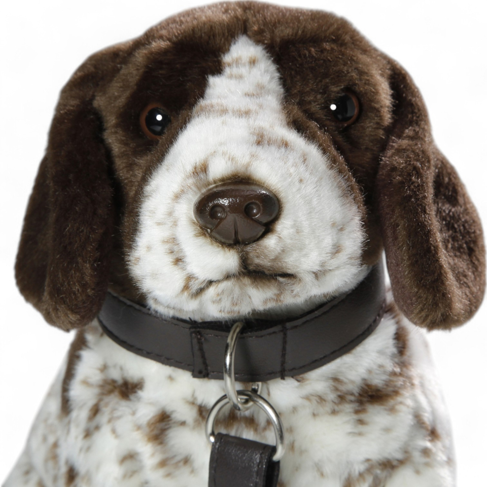 English Pointer with lead | soft toy | stuffed animal | plush toy
