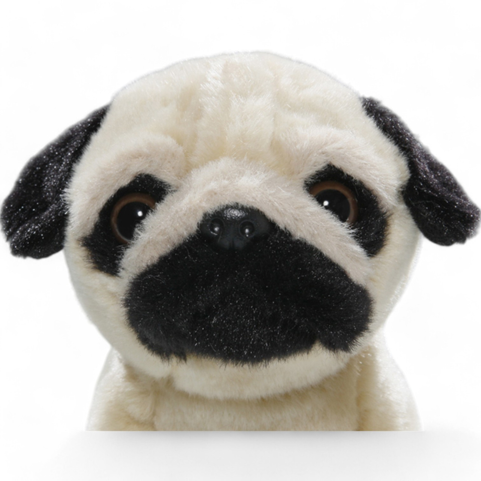 Bulldogge, Pug sitting | soft toy | stuffed animal | plush toy