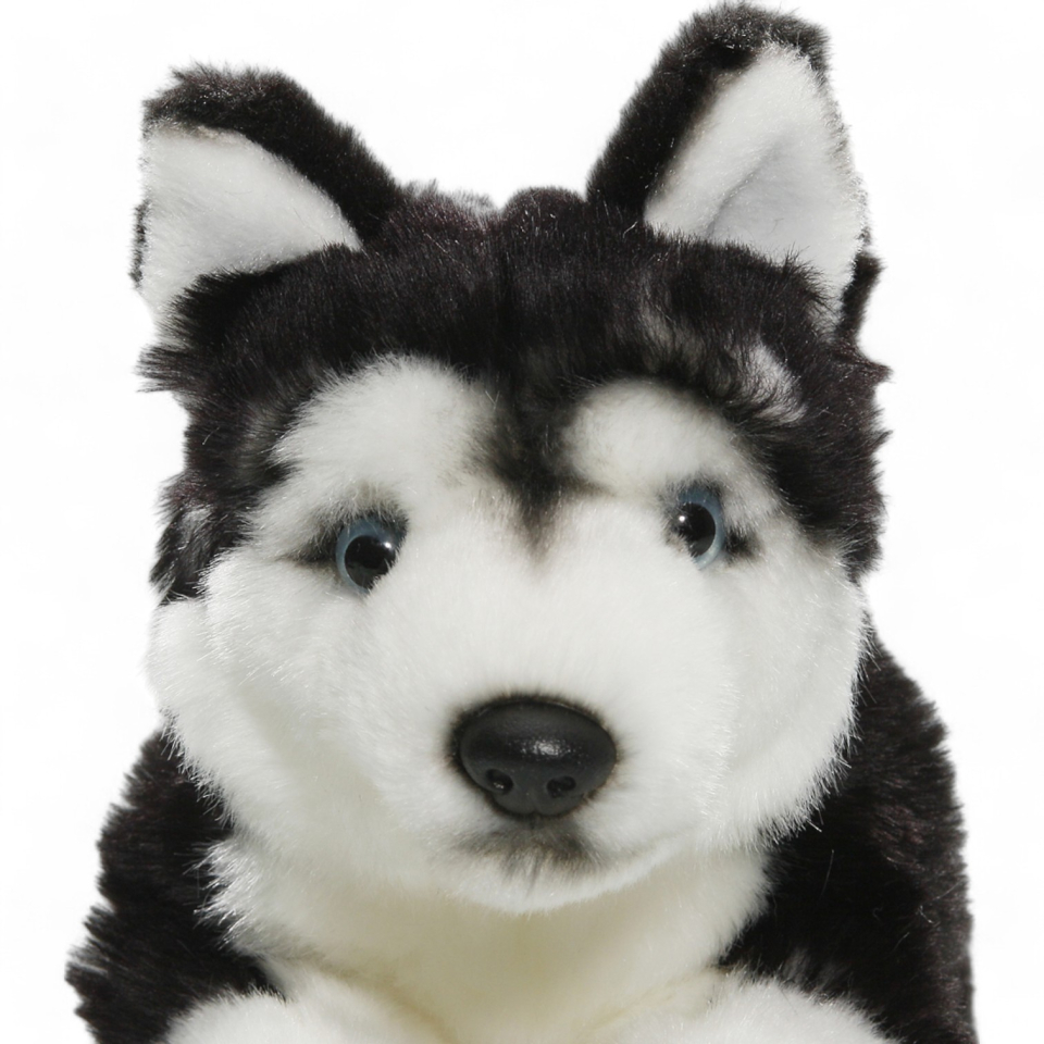 Husky black lying | soft toy | stuffed animal | plush toy