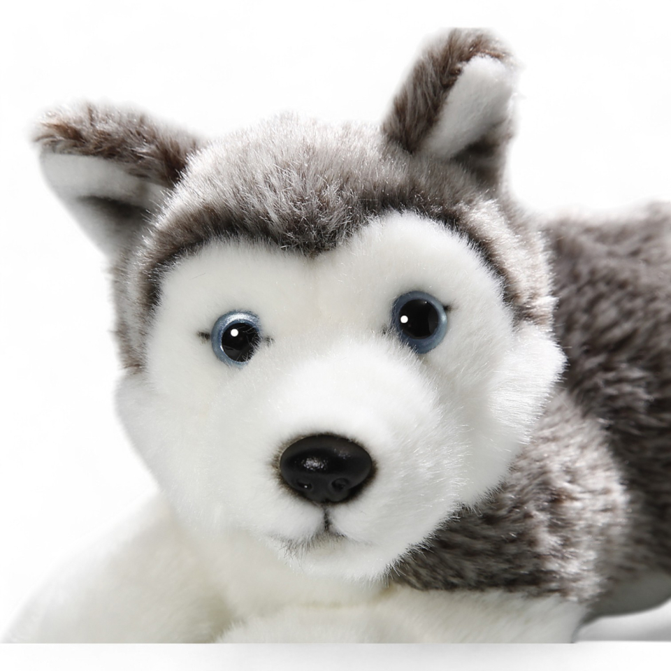 Plüschtier: Husky liegend | Kuscheltier | Stofftier