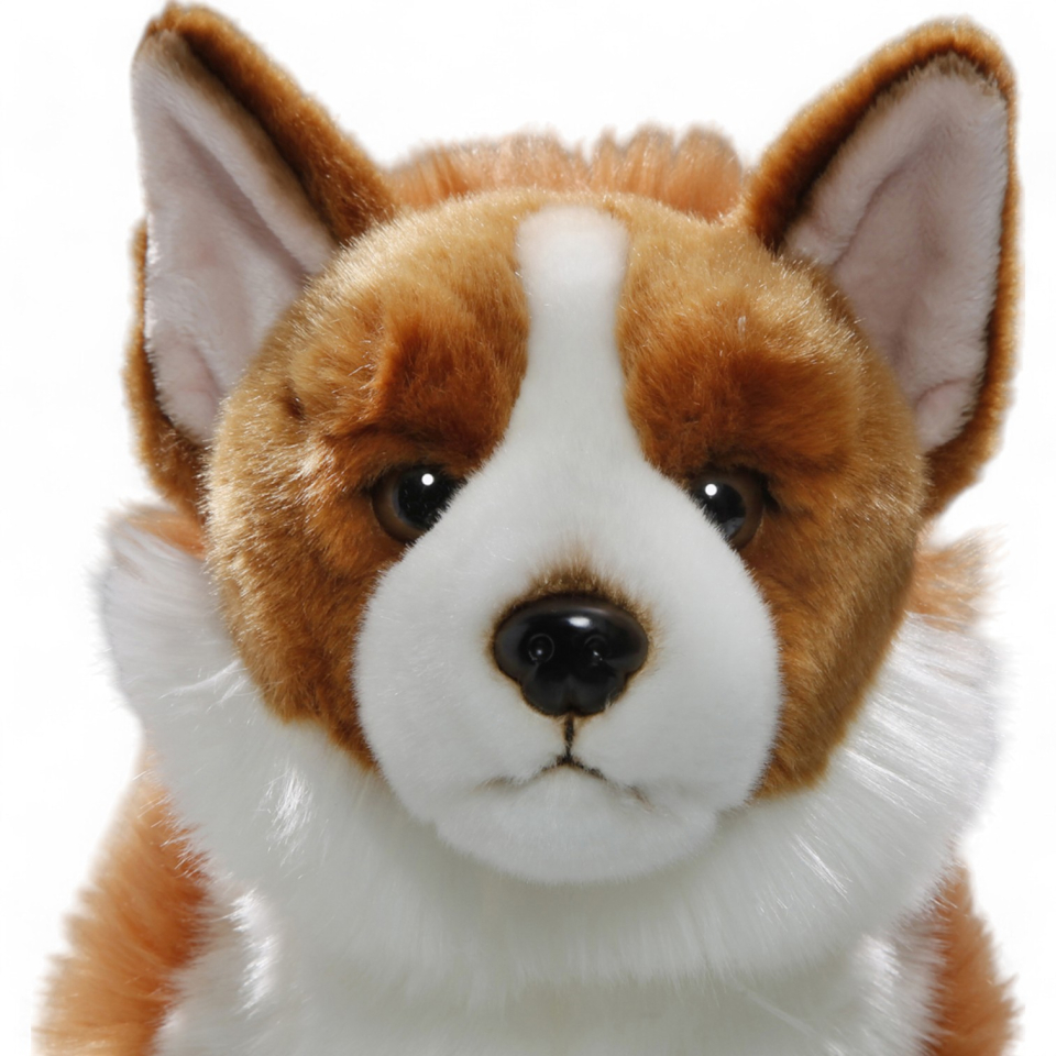 Corgi Dog | soft toy | stuffed animal | plush toy