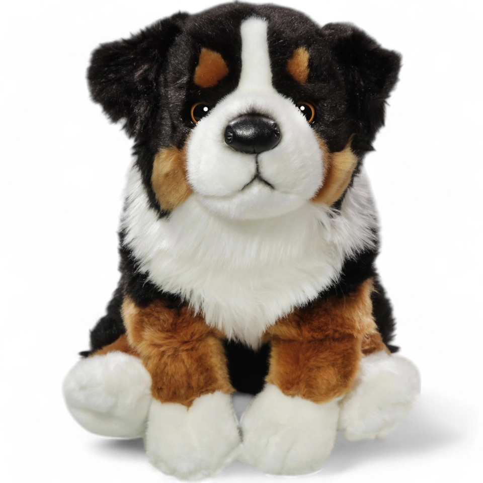 Berner Sennenhund Berner Sennenhund