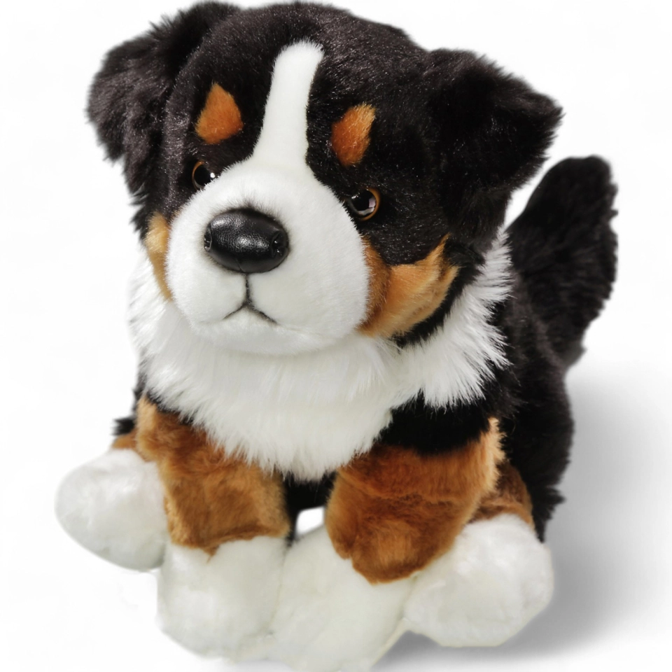 Berner Sennenhund Berner Sennenhund
