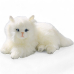 Cat, Persian lying white, soft toy, stuffed animal
